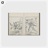 アートポストカード-Examples of hokusai's drawing - 葛飾 北斎 Postcard.