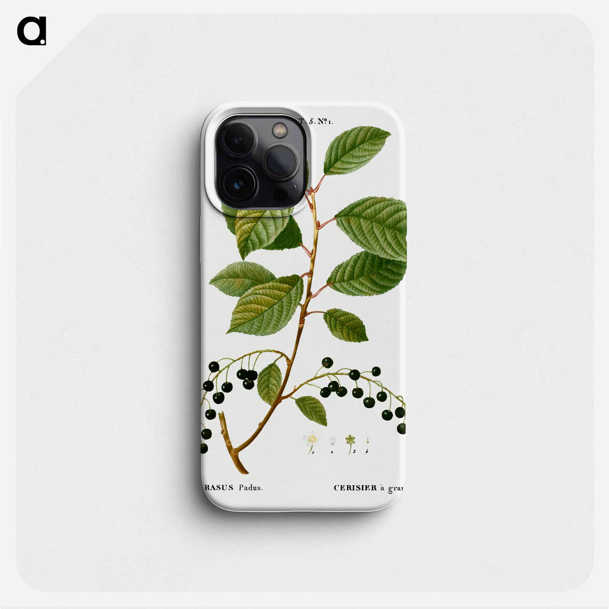 Bird cherry - Pierre Joseph Redouté Phone Case.