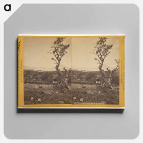 アートパネル-Solola, Lake Atitlan
 - エドワード マイブリッジ Canvas.