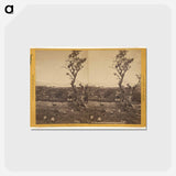 アートポストカード-Solola, Lake Atitlan
 - エドワード マイブリッジ Postcard.