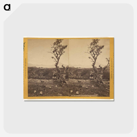 アートポストカード-Solola, Lake Atitlan
 - エドワード マイブリッジ Postcard.