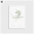 アートポストカード-Climbing asparagus fern illustration - ピエール ジョゼフ ルドゥーテ Postcard.