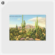 アートポストカード-Giant Cactus, Phoenix
 - ボストン公共図書館 Postcard.