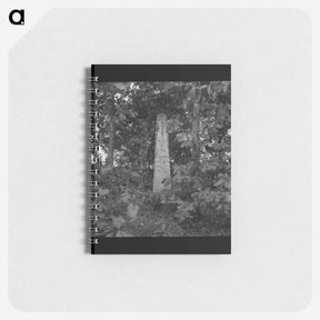 アートメモ帳-Untitled photo - ドロテア ラング Memo.