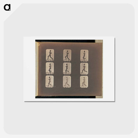 アートポストカード-Running
 - エドワード マイブリッジ Postcard.