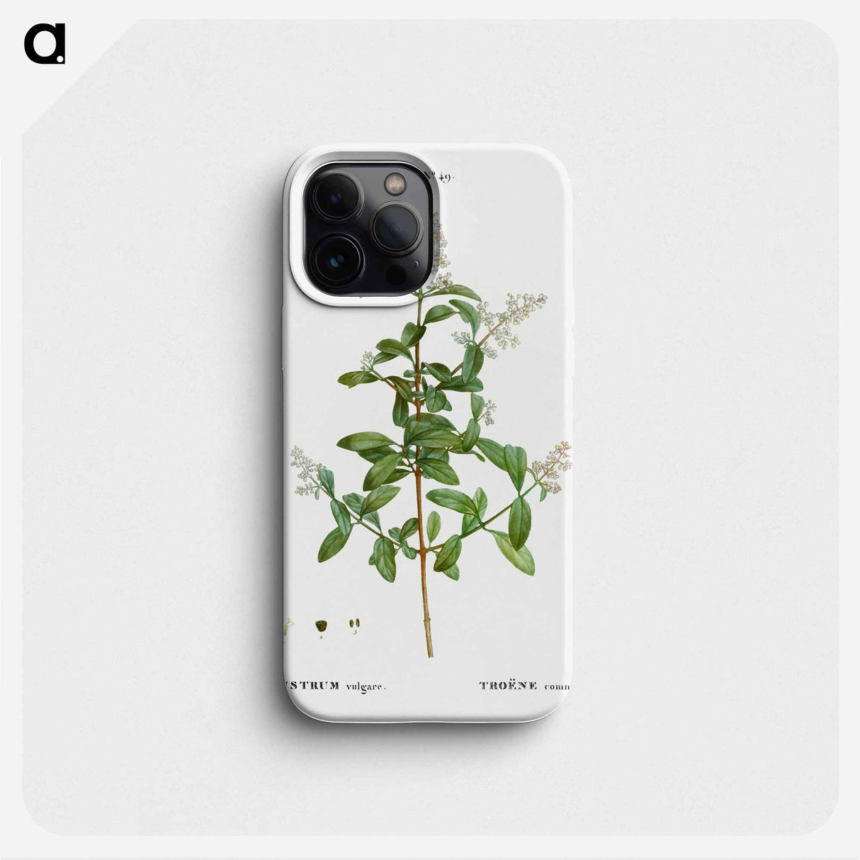 Wild privet - Pierre Joseph Redouté Phone Case.