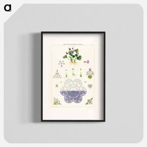 アートポスター-Violet Plant Forms
 - ボストン公共図書館 Poster.