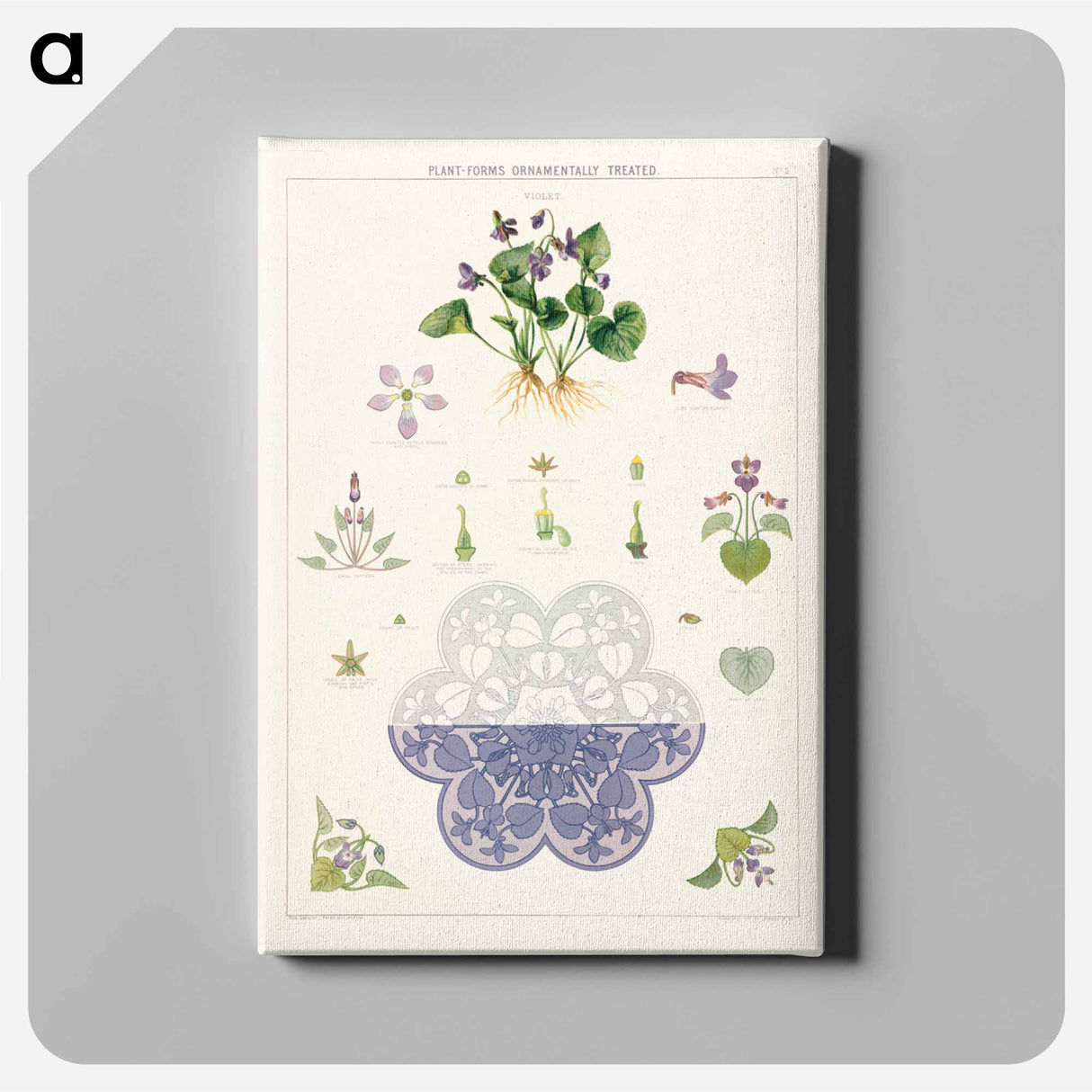 アートパネル-Violet Plant Forms
 - ボストン公共図書館 Canvas.