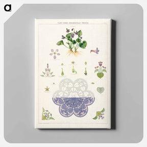 アートパネル-Violet Plant Forms
 - ボストン公共図書館 Canvas.