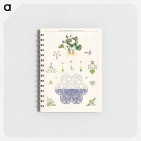 アートメモ帳-Violet Plant Forms
 - ボストン公共図書館 Memo.