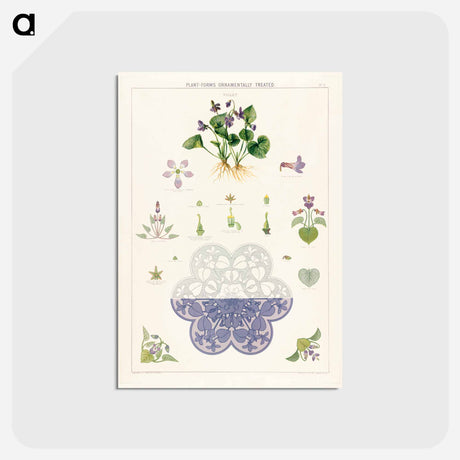 アートポストカード-Violet Plant Forms
 - ボストン公共図書館 Postcard.