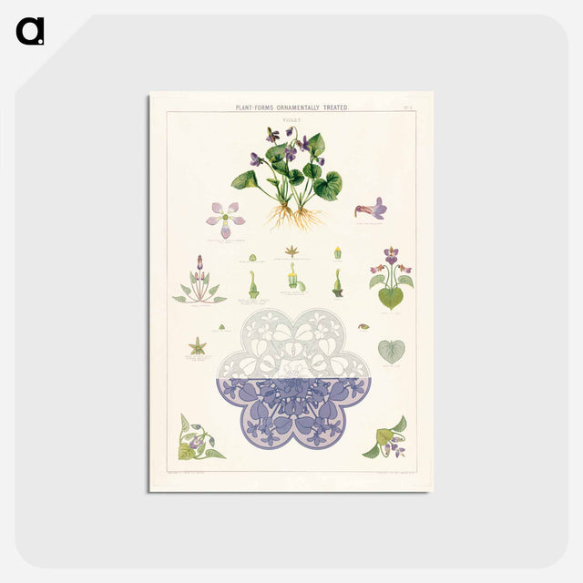 アートポストカード-Violet Plant Forms
 - ボストン公共図書館 Postcard.