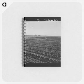 アートメモ帳-Untitled photo - ドロテア ラング Memo.