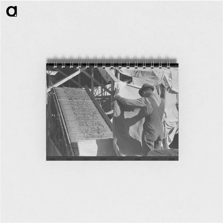 アートメモ帳-Corpus Christi Business
 - ラッセル リー Memo.