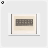 アートポストカード-Sulky Driver
 - エドワード マイブリッジ Postcard.