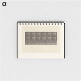 アートメモ帳-Sulky Driver
 - エドワード マイブリッジ Memo.