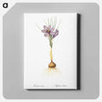 アートパネル-Crocus sativus - ピエール ジョゼフ ルドゥーテ Canvas.