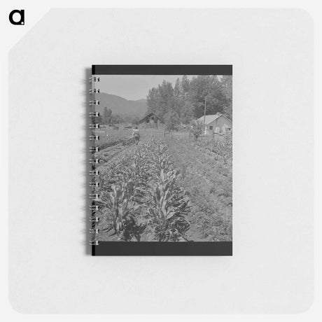 アートメモ帳-Williams Creek Cliffs
 - ラッセル リー Memo.