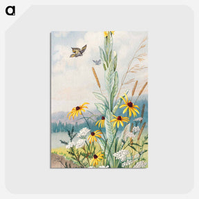 アートポストカード-Flowers of the Meadow
 - ボストン公共図書館 Postcard.