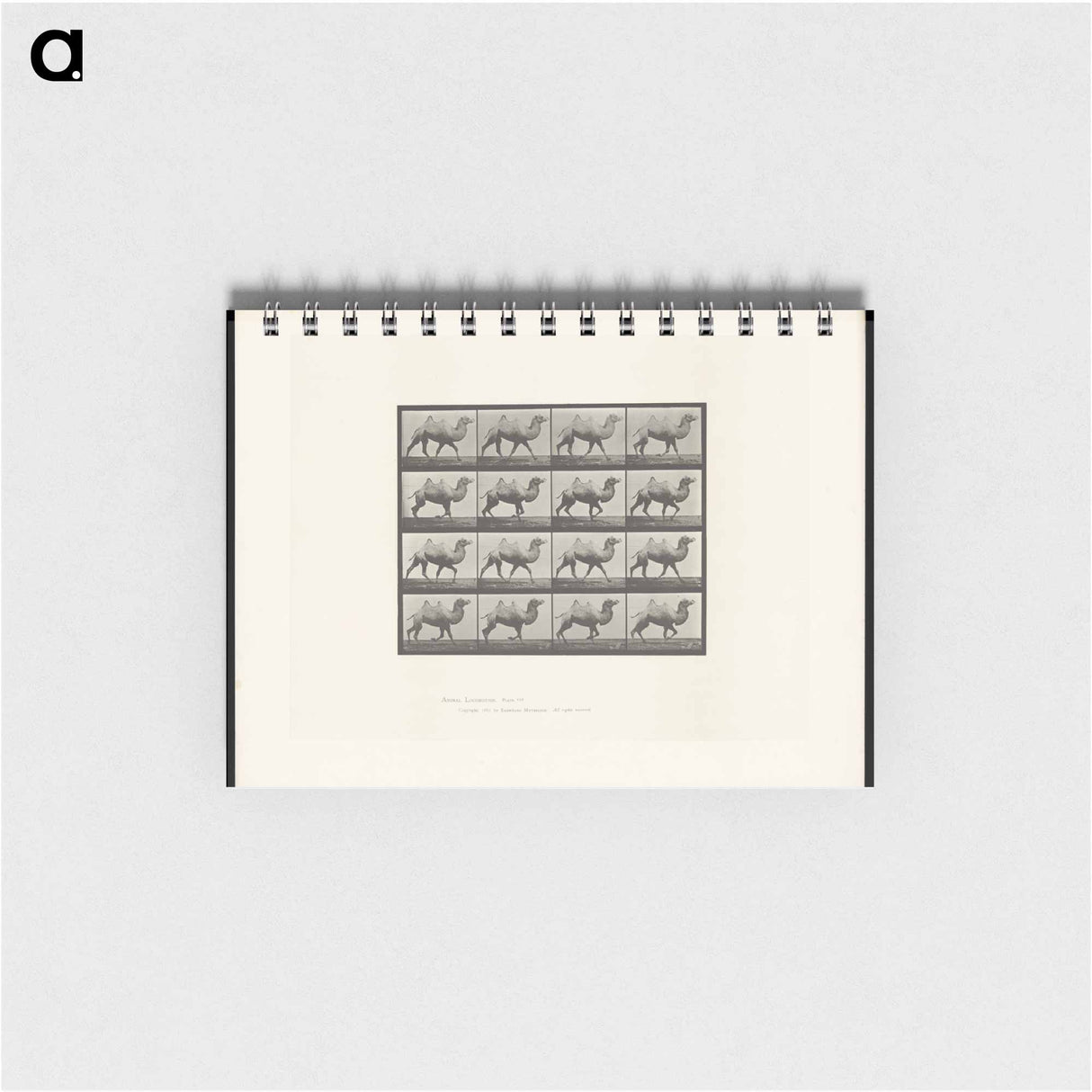 アートメモ帳-Camel Walking
 - エドワード マイブリッジ Memo.