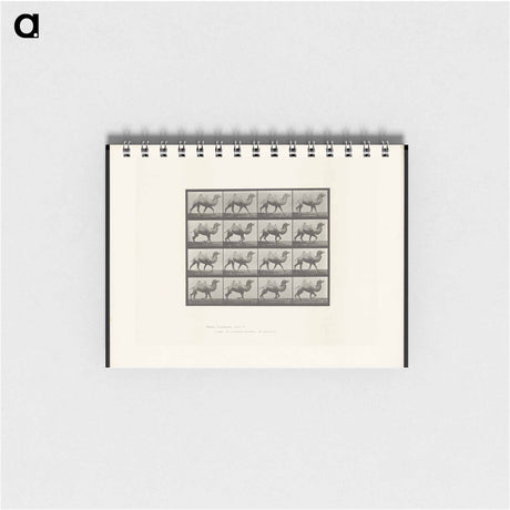 アートメモ帳-Camel Walking
 - エドワード マイブリッジ Memo.