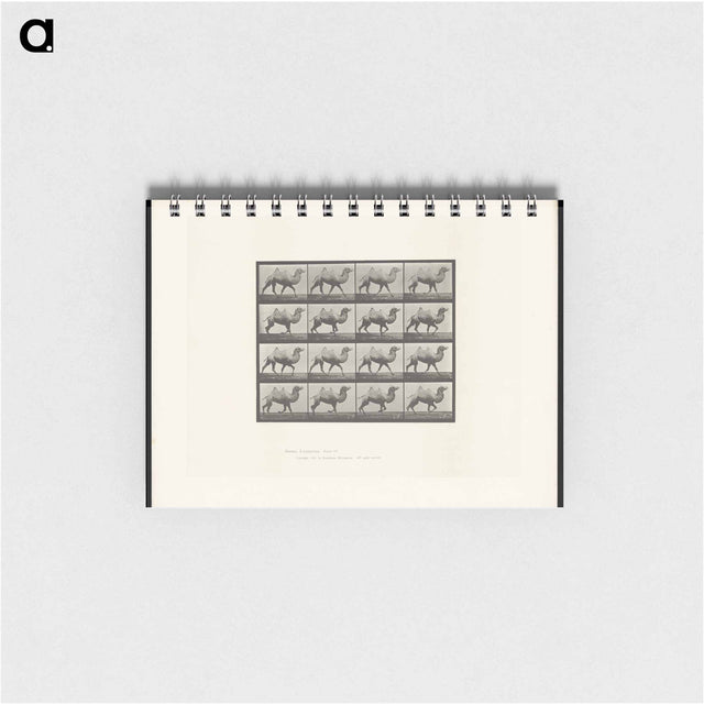 アートメモ帳-Camel Walking
 - エドワード マイブリッジ Memo.