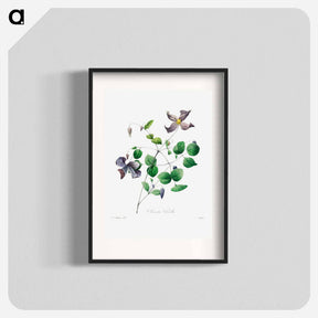 アートポスター-Virgin's bower - ピエール ジョゼフ ルドゥーテ Poster.