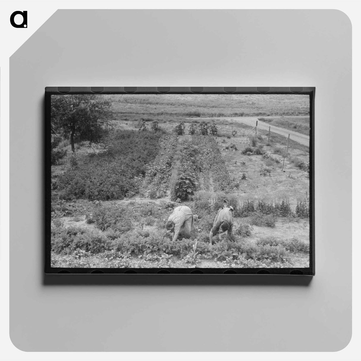 アートパネル-Grubbing Mesquite
 - ラッセル リー Canvas.
