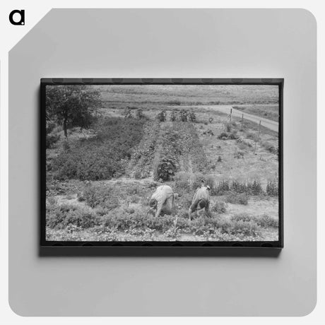アートパネル-Grubbing Mesquite
 - ラッセル リー Canvas.