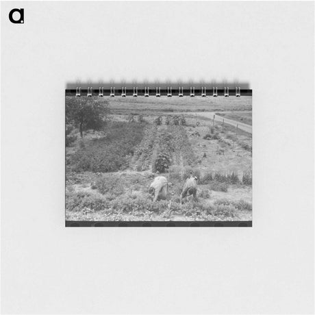 アートメモ帳-Grubbing Mesquite
 - ラッセル リー Memo.