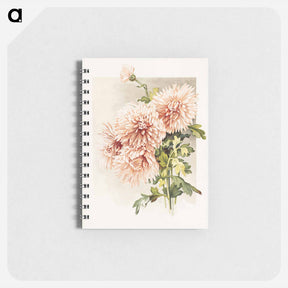 アートメモ帳-Chrysanthemums
 - ボストン公共図書館 Memo.