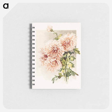 アートメモ帳-Chrysanthemums
 - ボストン公共図書館 Memo.