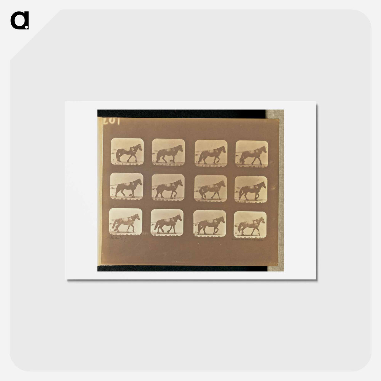 アートポストカード-Hauling
 - エドワード マイブリッジ Postcard.