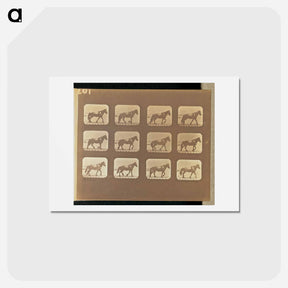 アートポストカード-Hauling
 - エドワード マイブリッジ Postcard.
