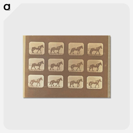 アートポストカード-Hauling
 - エドワード マイブリッジ Postcard.