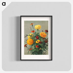 アートポスター-Marigolds
 - ボストン公共図書館 Poster.