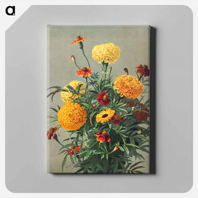 アートパネル-Marigolds
 - ボストン公共図書館 Canvas.
