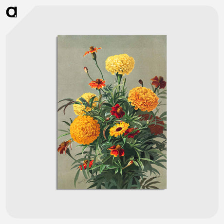 アートポストカード-Marigolds
 - ボストン公共図書館 Postcard.
