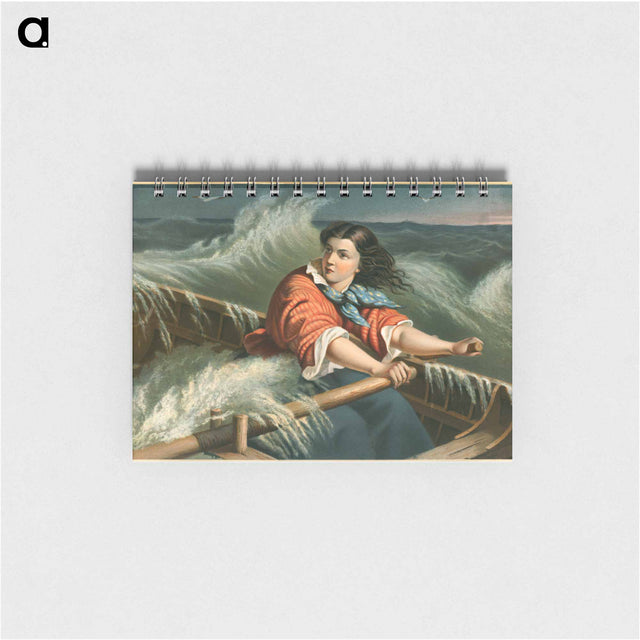 アートメモ帳-The Rescue
 - ボストン公共図書館 Memo.