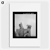 Cotton picking in south Texas - Dorothea Lange Poster.