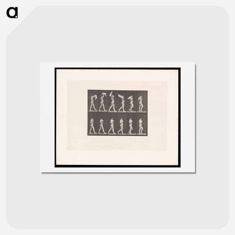 アートポストカード-Woman Throwing Shawl
 - エドワード マイブリッジ Postcard.