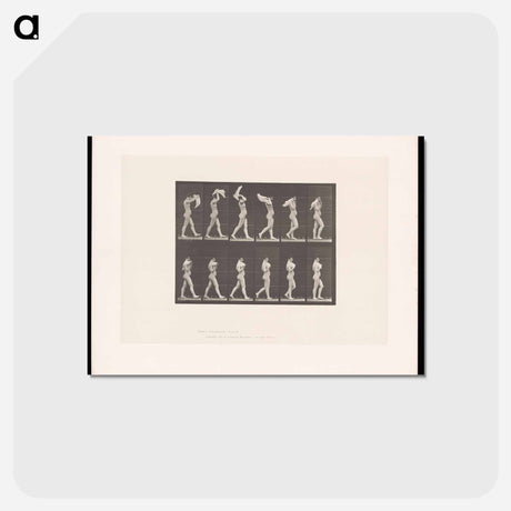 アートポストカード-Woman Throwing Shawl
 - エドワード マイブリッジ Postcard.