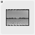 アートポストカード-Cranes in Rice Field
 - ラッセル リー Postcard.