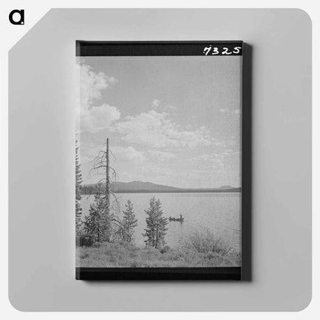 アートパネル-Mules, Lake Dick
 - ラッセル リー Canvas.