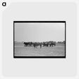 アートポストカード-Mules, Lake Dick
 - ラッセル リー Postcard.