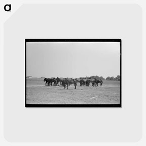 アートポストカード-Mules, Lake Dick
 - ラッセル リー Postcard.
