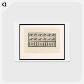 アートポストカード-Man on Horse
 - エドワード マイブリッジ Postcard.