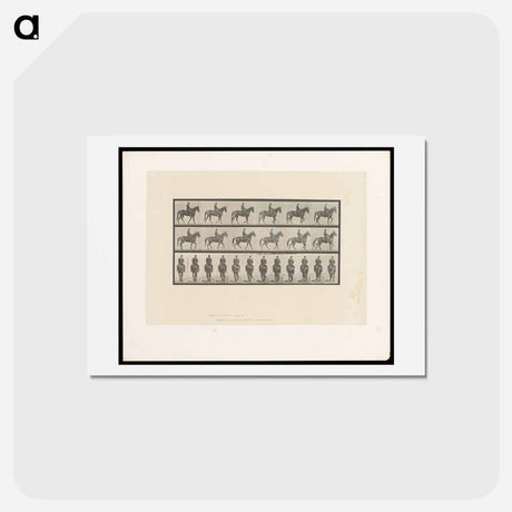 アートポストカード-Man on Horse
 - エドワード マイブリッジ Postcard.