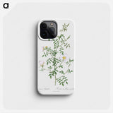 Myrtle-Leaved Hedge Rose - ピエール ジョゼフ ルドゥーテ Phone Case.