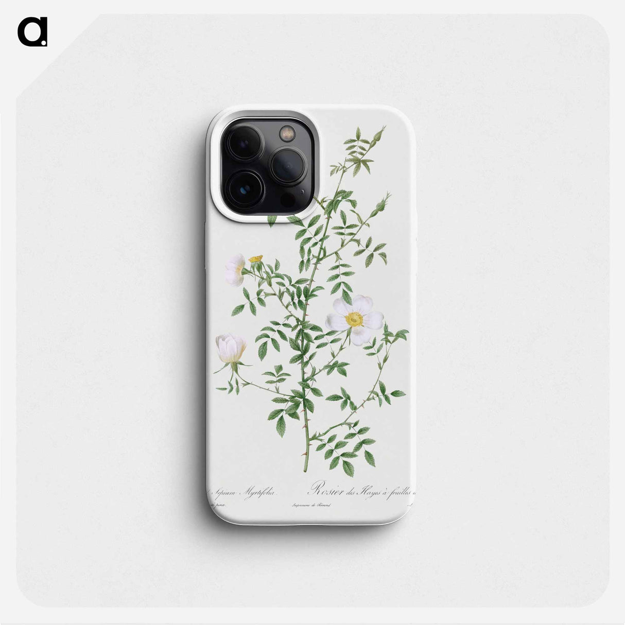 Myrtle-Leaved Hedge Rose - Pierre Joseph Redouté Phone Case.